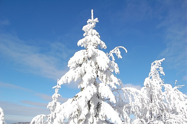 mountain  